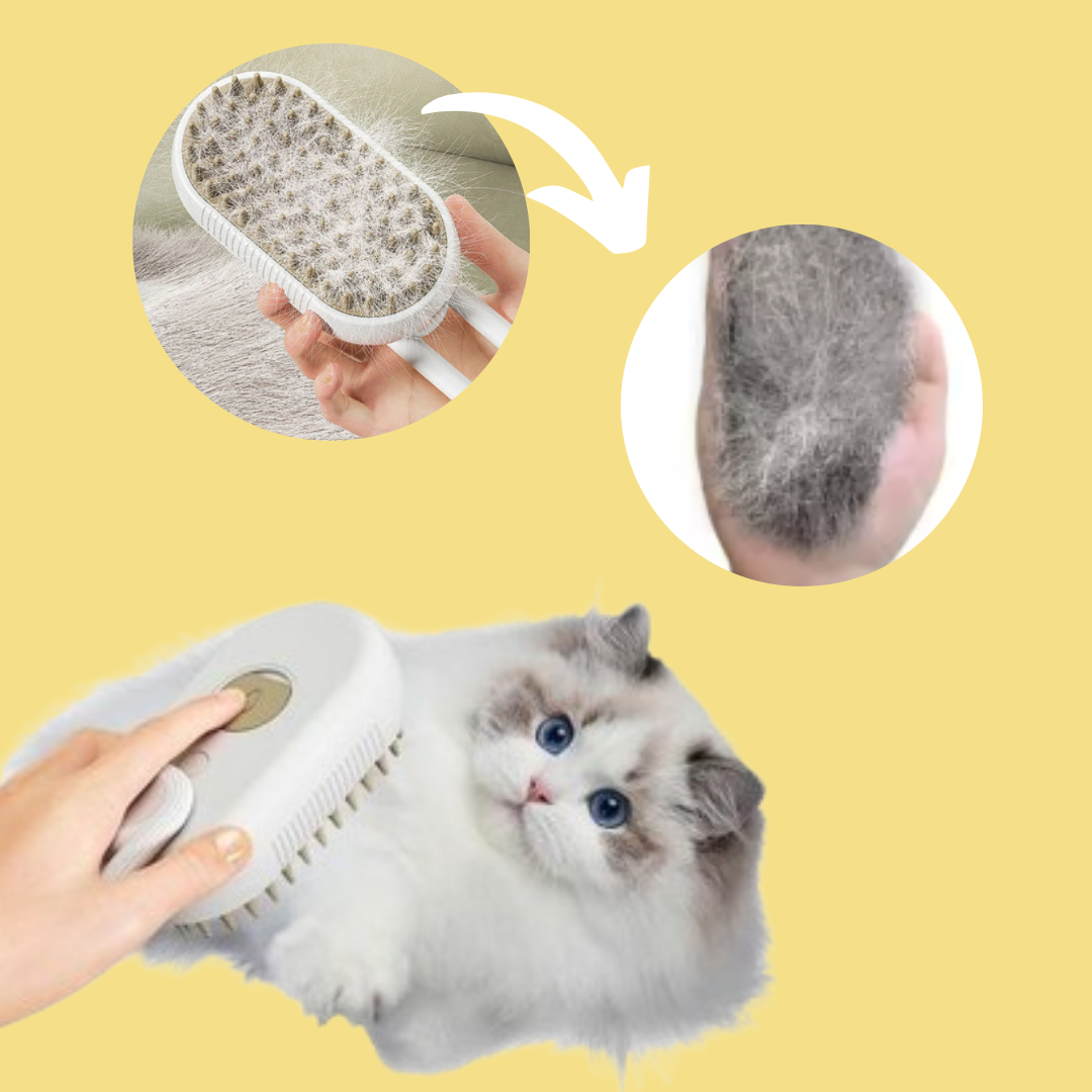 3 IN 1 Steam Pet Brush
