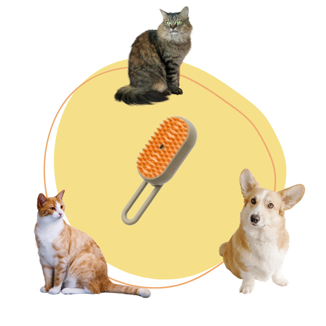 3 IN 1 Steam Pet Brush
